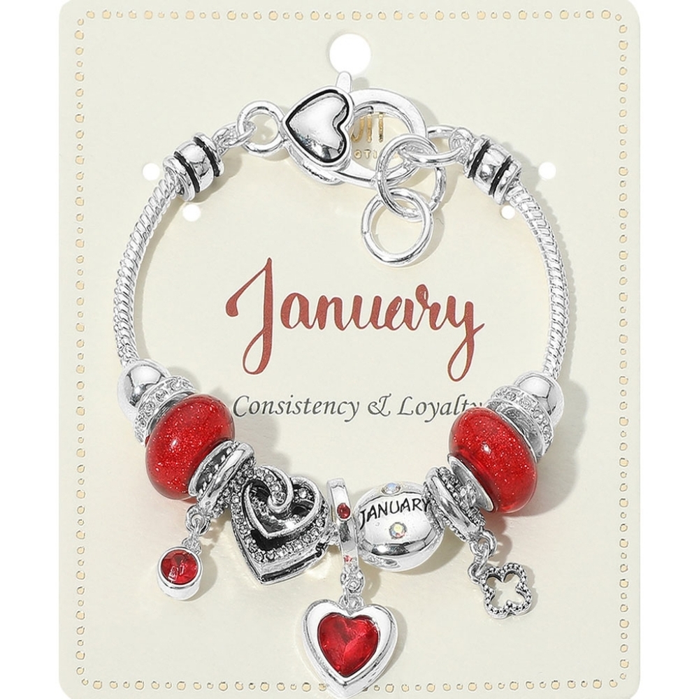 January Birthstone Charm Bracelet
